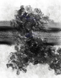 No. 80 - 2019